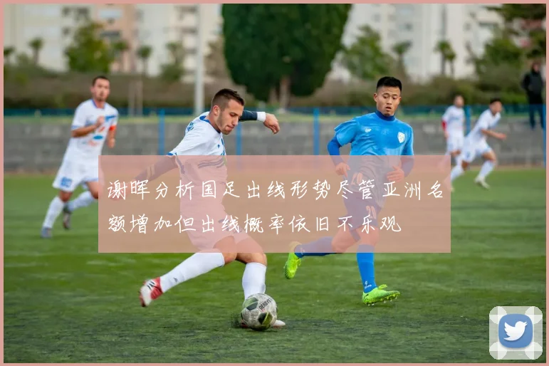 谢晖分析国足出线形势尽管亚洲名额增加但出线概率依旧不乐观