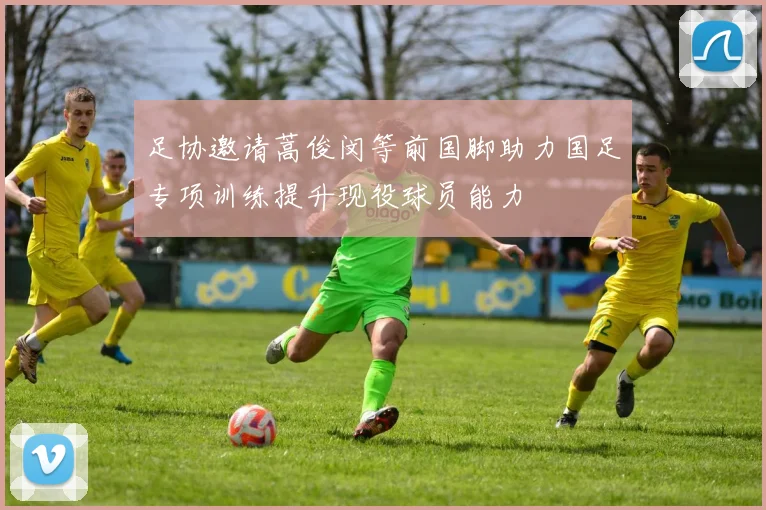 足协邀请蒿俊闵等前国脚助力国足专项训练提升现役球员能力