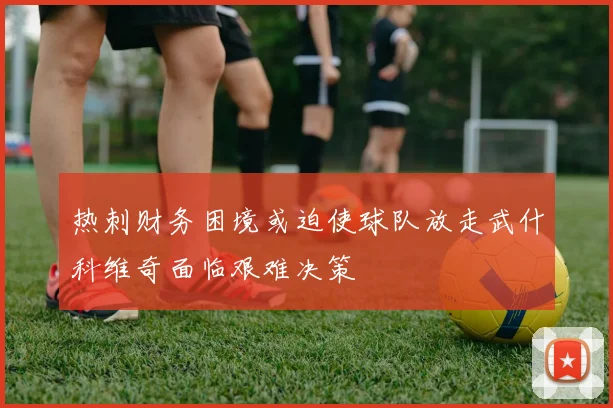 热刺财务困境或迫使球队放走武什科维奇面临艰难决策